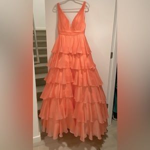 Adult Disney Princess dress